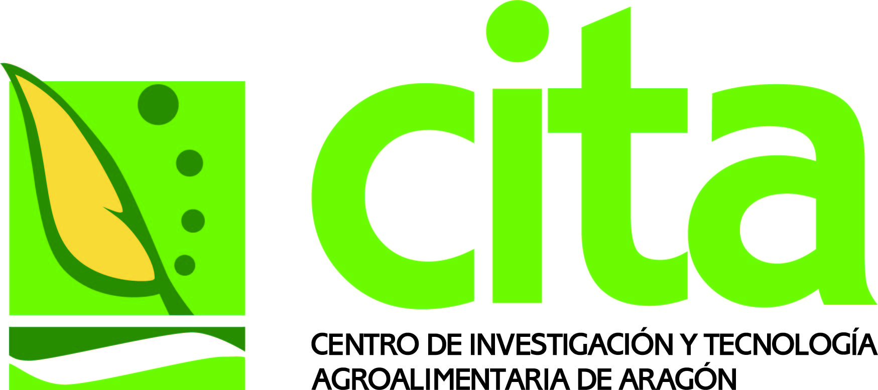 CITA